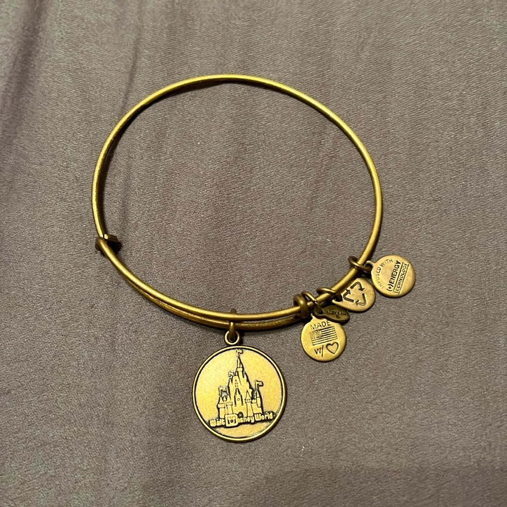Alex and Ani Disney
